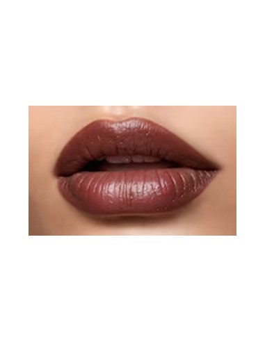 ARTIST NUDE CREME 9 PERFILADOR LABIAL WATERPROOF AQUALIP PERFILADOR RESISTENTE AL AGUA