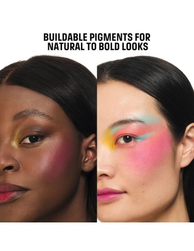 Artist Color Palette H01 - Makeupforever