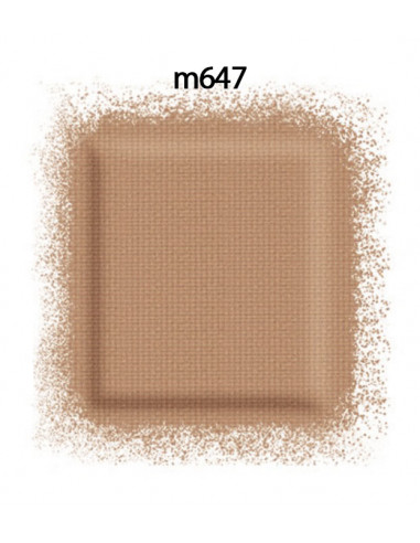 Sombra Ojos Artist Color Shadow