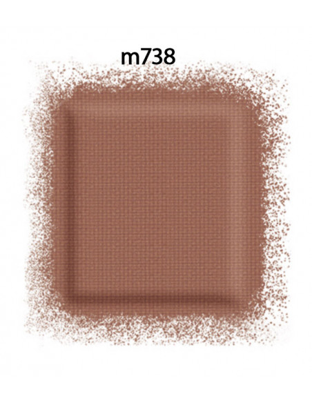 Sombra Ojos Artist Color Shadow