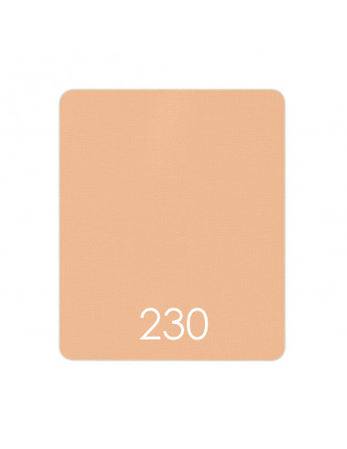 Matte Velvet Skin Compact.