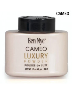 Polvo traslúcido para matizar 2