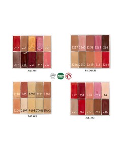 Maqpro Petite Lipstick Palette R11