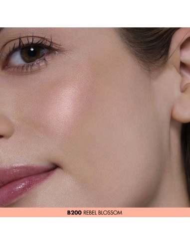 Colorete en polvo de intensidad regulable