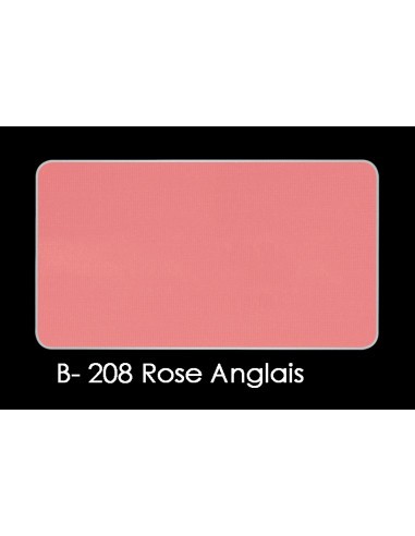 Blush Artist Face color nº B 208  Make up forever